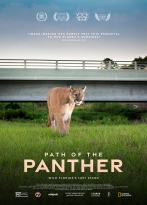 Path of the Panther izle